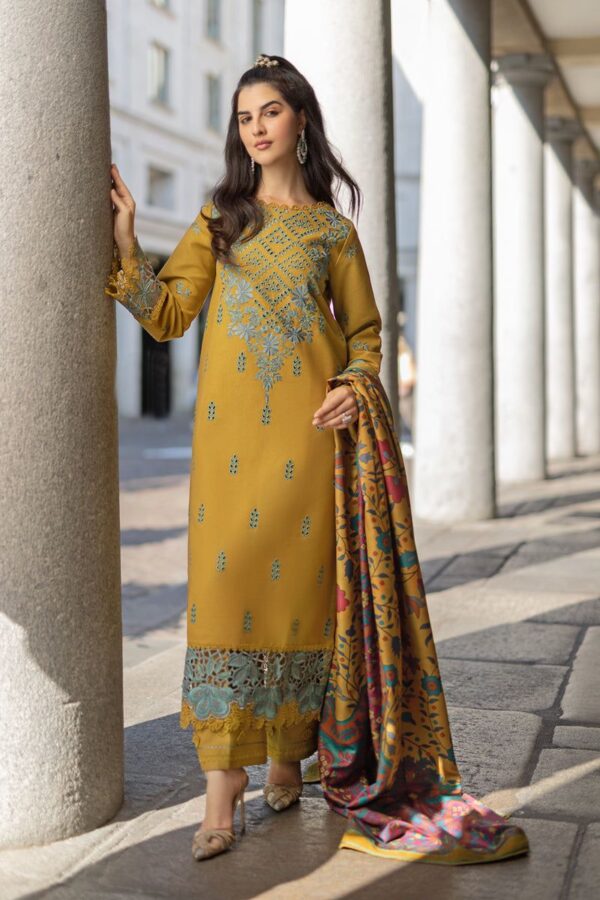 Rang Rasaya 3 PCs wedding summer collection - Image 3