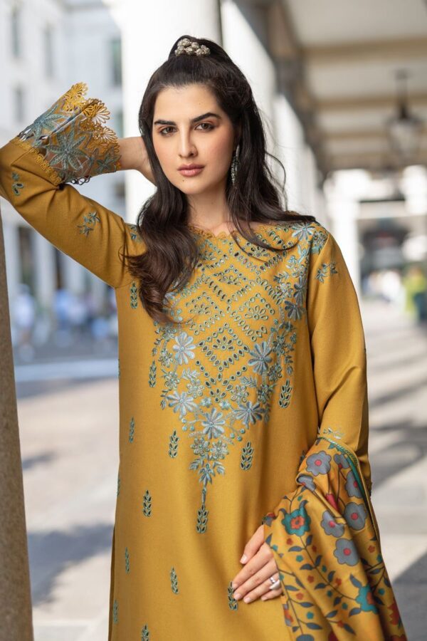 Rang Rasaya 3 PCs wedding summer collection - Image 2