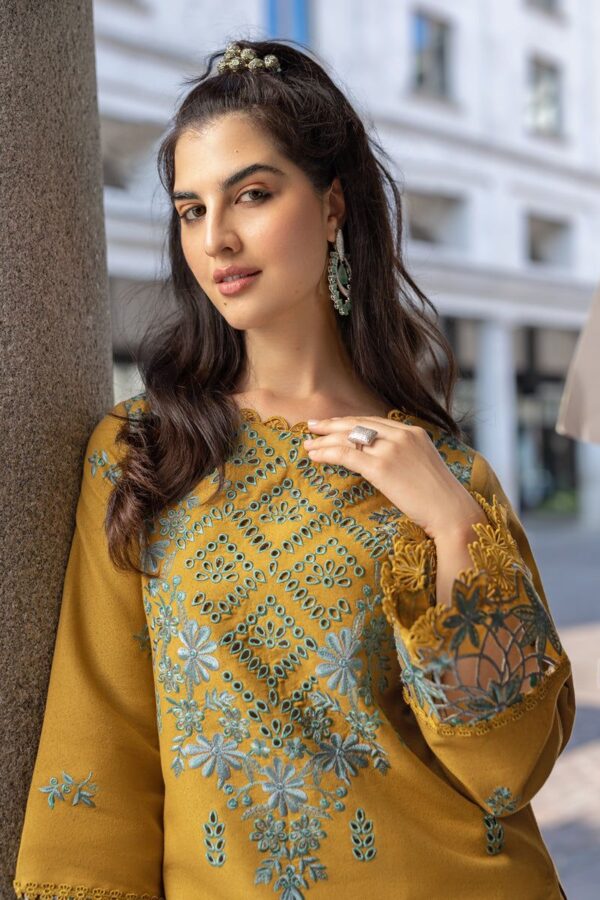 Rang Rasaya 3 PCs wedding summer collection