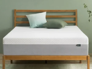 Zinus 10 Inch Green Tea Essential Memory Foam Mattress [New Version], Queen, Fiberglass Free, Medium Feel, Breathable Airflow Memory Foam, Certified Safe Foams & Fabric, Mattress in A Box